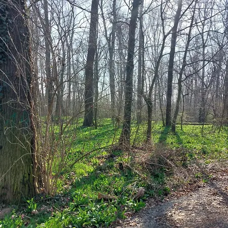 Gemuetliche Zwei-zimmer-ferienwohnung 