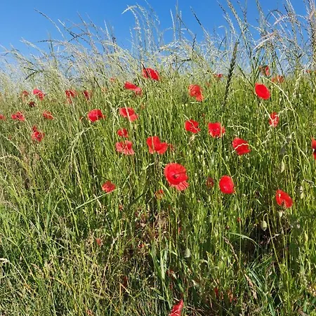 Gemuetliche Zwei-zimmer-ferienwohnung 