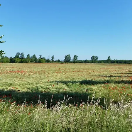 Gemuetliche Zwei-zimmer-ferienwohnung 