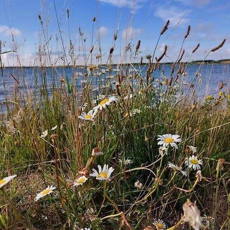 Gemuetliche Zwei-zimmer-ferienwohnung 