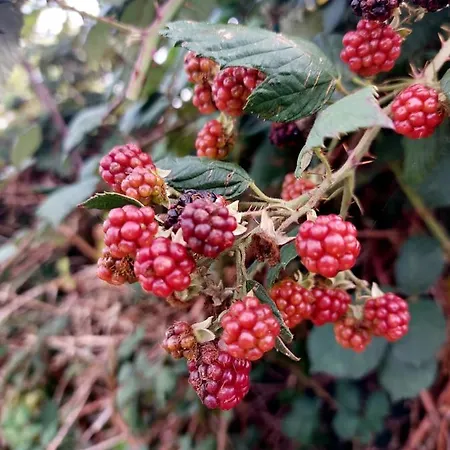 Gemuetliche Zwei-zimmer-ferienwohnung 