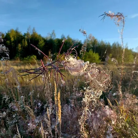 Gemuetliche Zwei-zimmer-ferienwohnung 