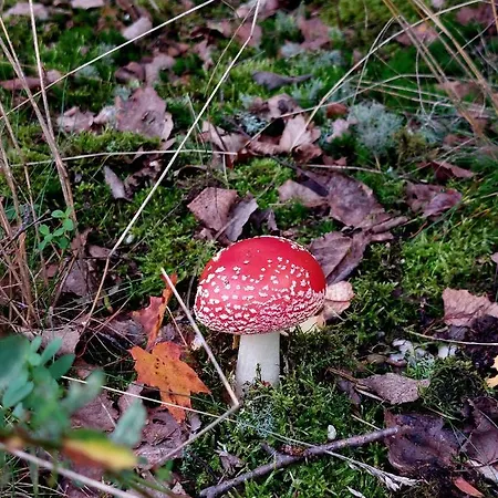 아파트 Gemuetliche Zwei-zimmer-ferienwohnung 
