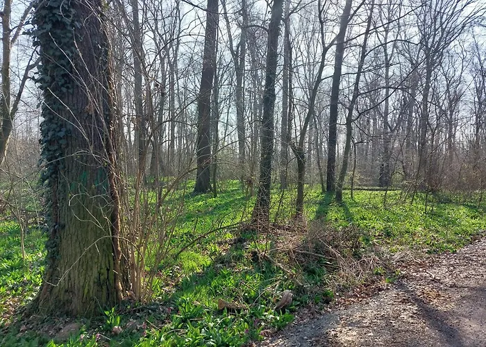 Gemütliche Zwei-zimmer-ferienwohnung W1 In Bei Leipzig Im Neuseenland * Zwenkau